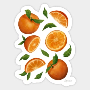 Oranges Citrus Fruit Halves and Slices Sticker